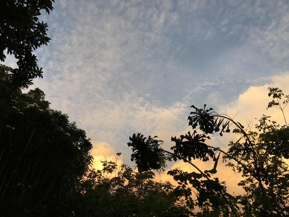Open Sky Bed & Breakfast Weligama Ngoại thất bức ảnh