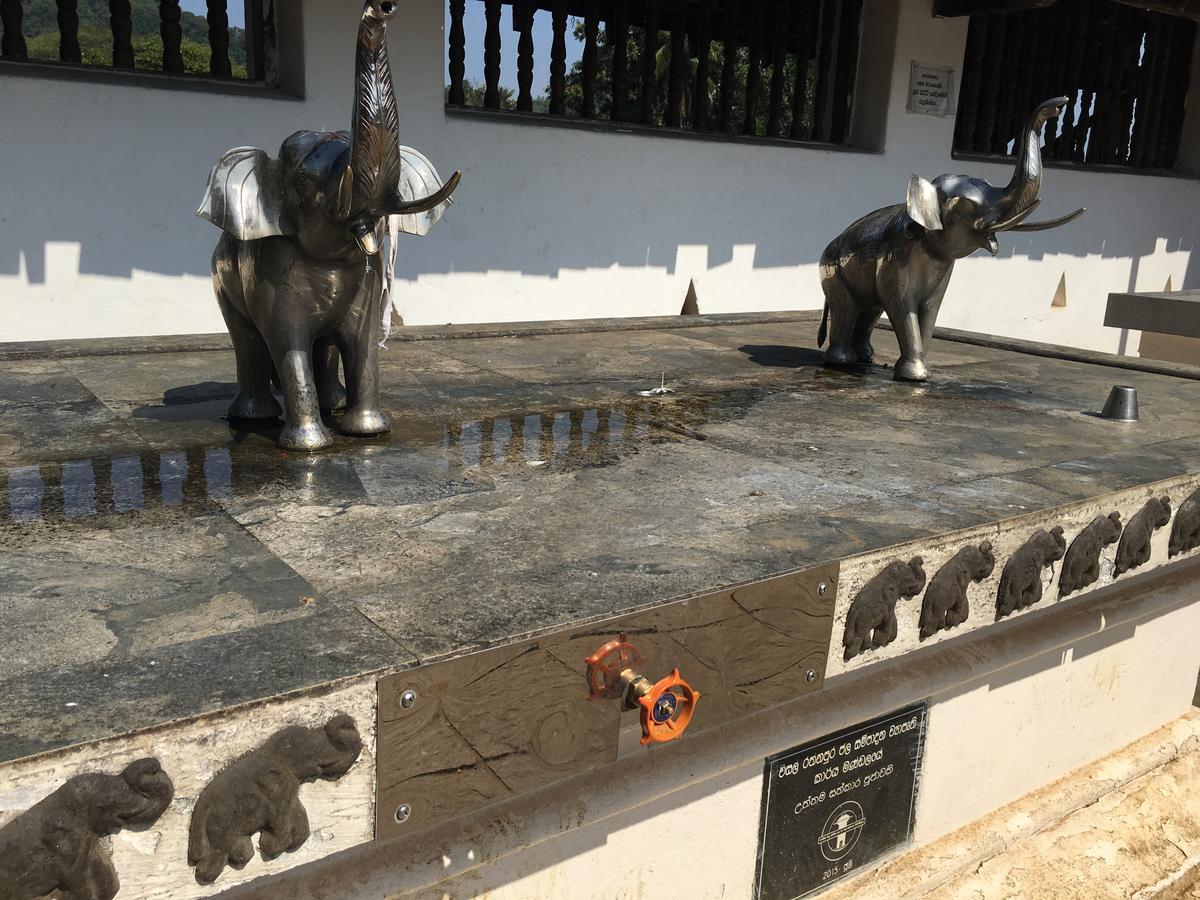 Open Sky Bed & Breakfast Weligama Ngoại thất bức ảnh